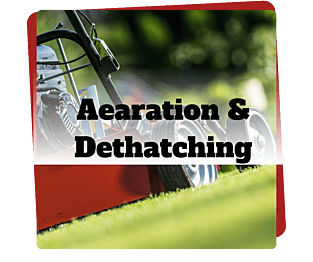 aearation and dethatching